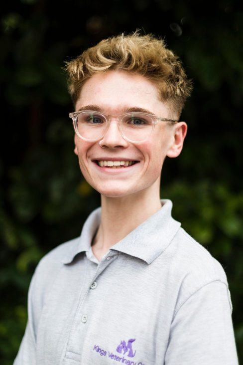 Lennon Wood - kings vet team