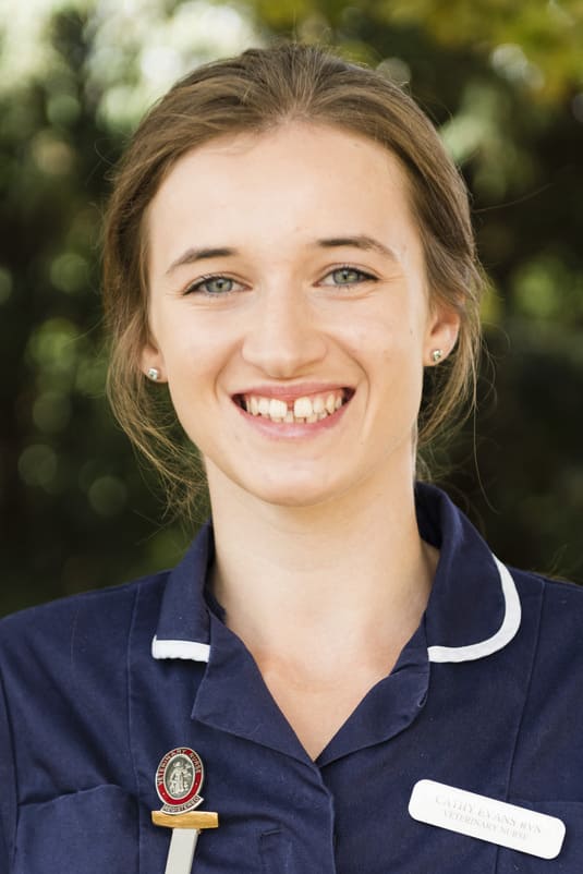 cathy kings vets