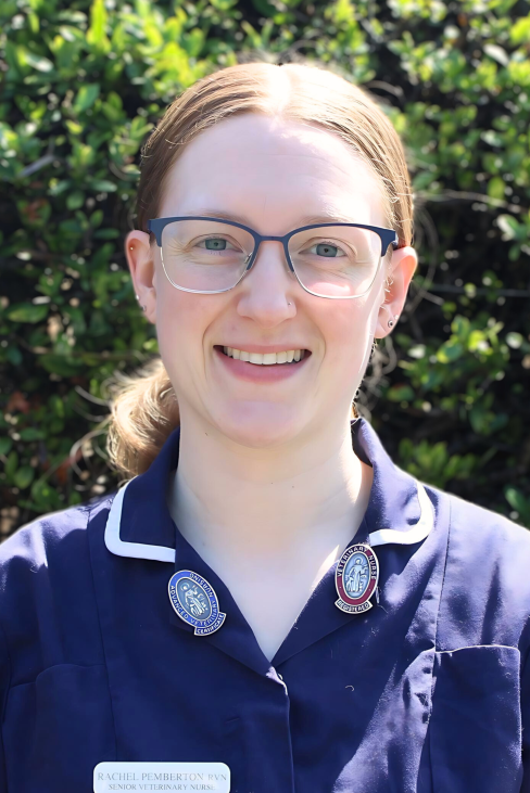 Rachel RNV senior veterinary nurse
