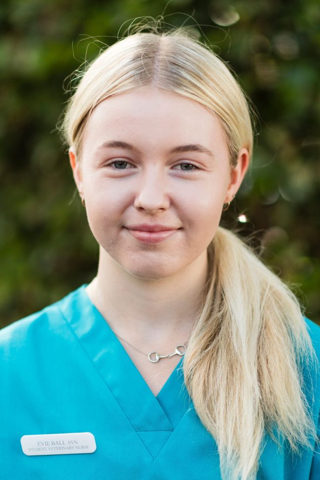 Evie Ball Evie Ball student veterinary nurse