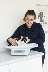 Rutland Veterinary Oakham practice