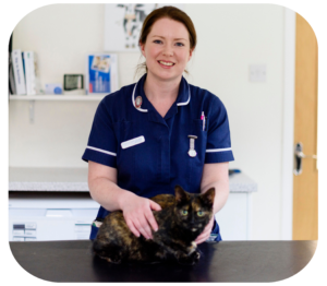 vet with cat at rutland vets