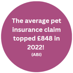 the average pet insurance claim