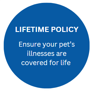 lifetime policy for pet insurance