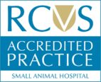 RCVS Small animal hospital accredited