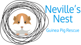 Nevilles nest store logo