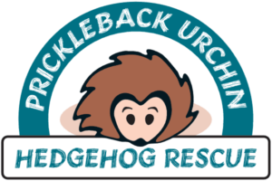 prickleback urchin hedgehog rescue logo