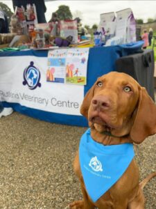 rutland vets at the pet festival