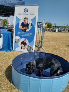 Rutland vets attending community events