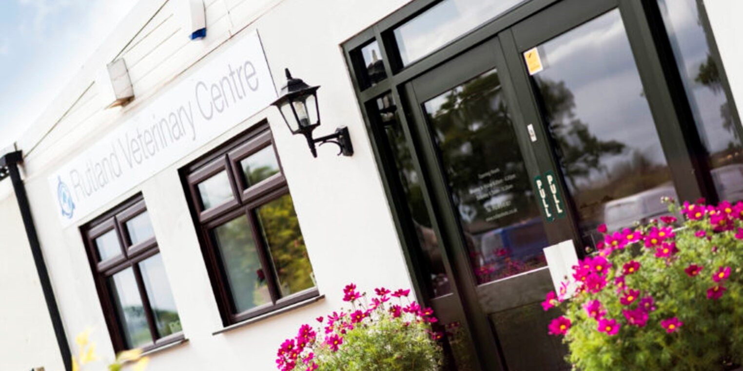 Rutland Veterinary centre from the outside