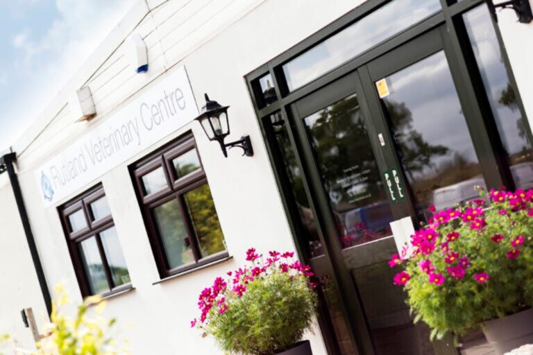 Rutland Veterinary centre from the outside