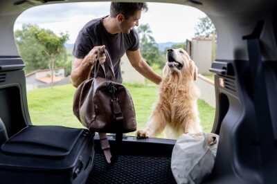 how to prepare your dog for travelling