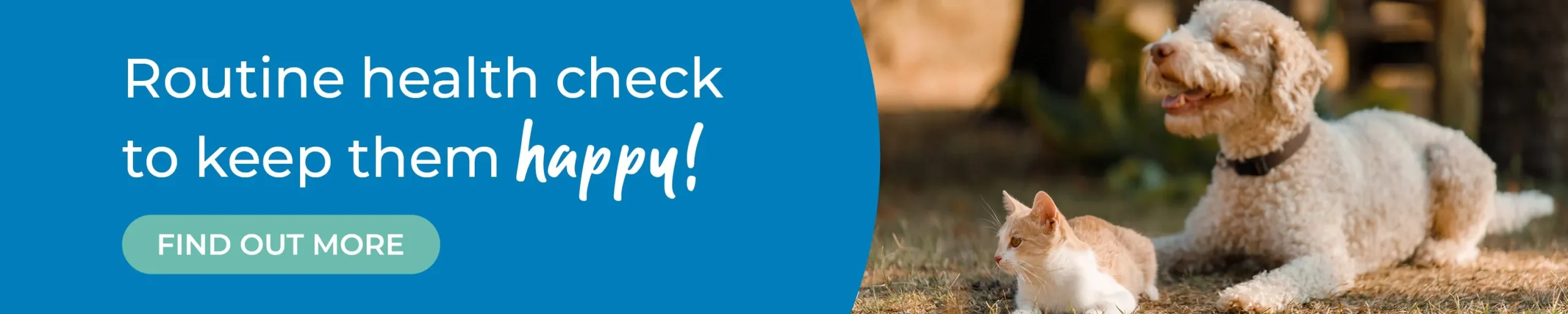 Routine Health Checks at Rutland Vets