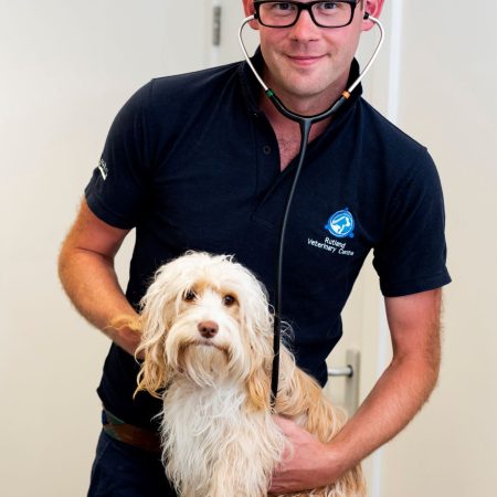 dog neutering at rutland vets