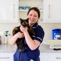 Flea And Worm Treatment For Cats