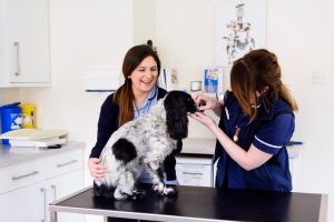 dog vaccinations at rutland