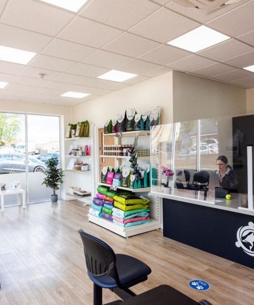 rutland vets offers rabbit vaccinations